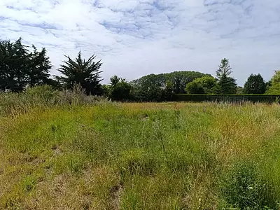 Terrain, 1 200 m²