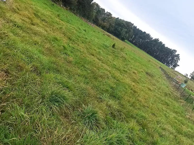Terrain, 1 750 m²
