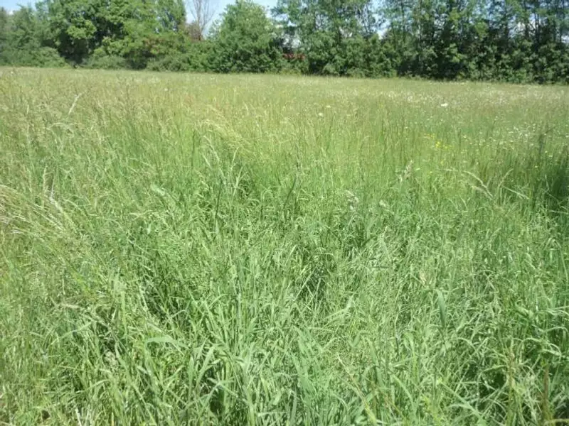 Terrain, 1 506 m²