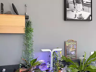 Appartement, 70 m²