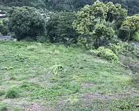 Terrain, 3 074 m²