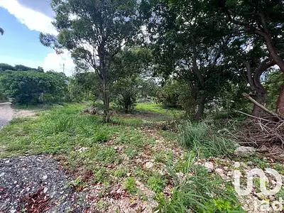 Terrain, 5 950 m²