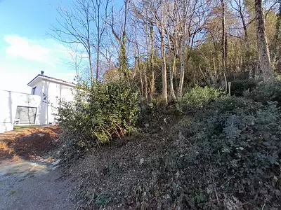 Terrain, 2 388 m²