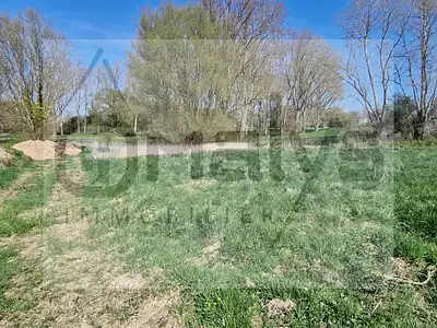 Terrain