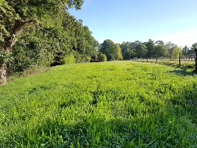 Terrain, 9 880 m²