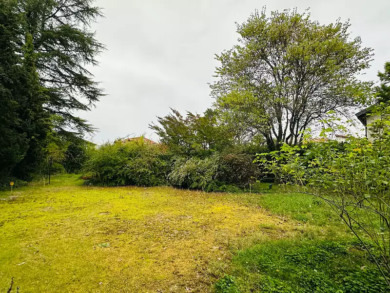 Terrain, 480 m²