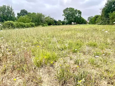 Terrain, 1 278 m²