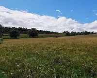 Terrain, 5 436 m²