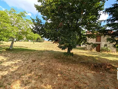Terrain, 740 m²