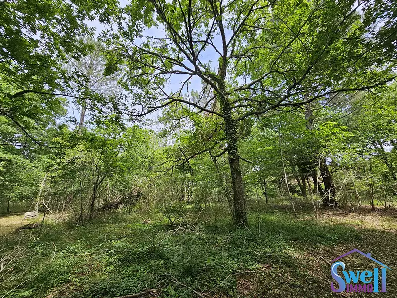 Terrain, 1 600 m²