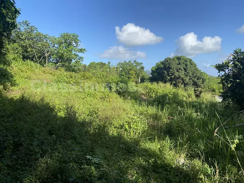 Terrain, 2 280 m²