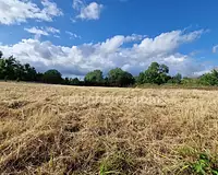 Terrain, 3 238 m²