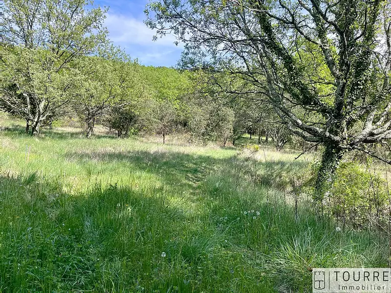 Terrain, 4 376 m²