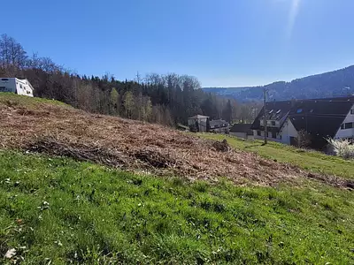 Terrain, 980 m²