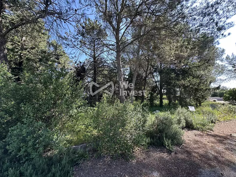 Appartement, 75,06 m²