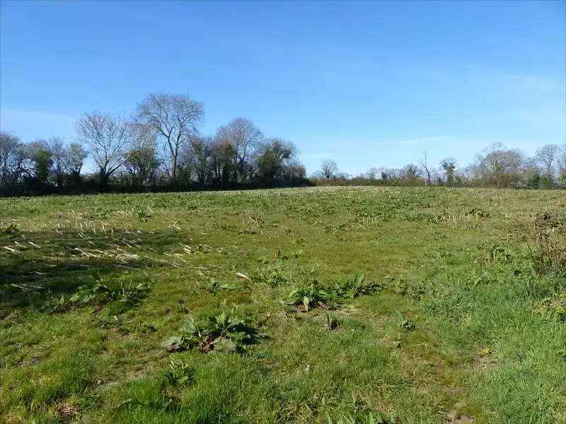 Terrain, 13 535 m²