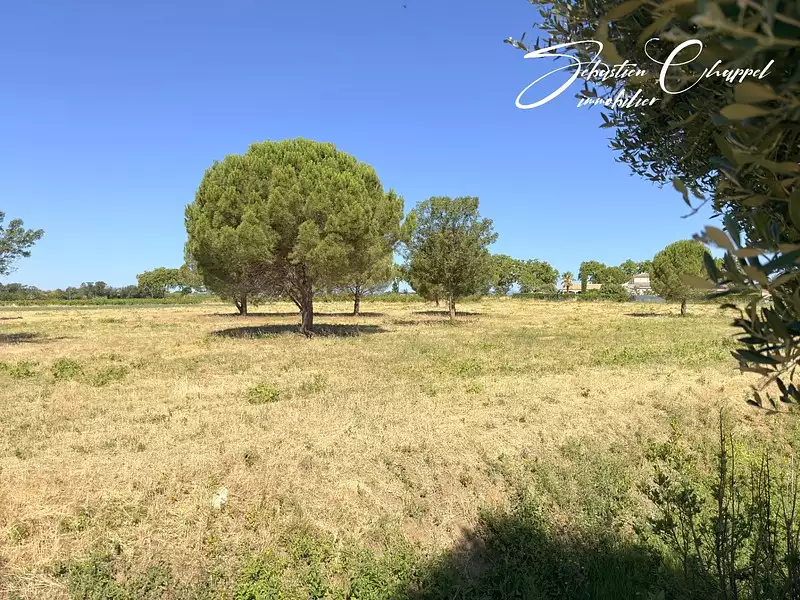 Terrain, 901 m²