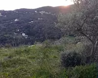 Terrain, 1 450 m²