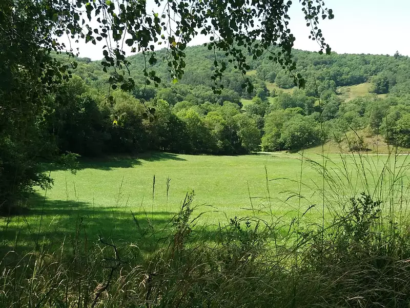 Maison, 570 m²