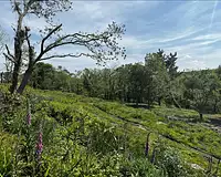 Terrain, 19 292 m²