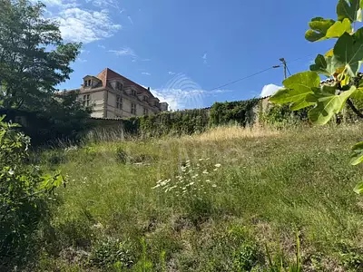Terrain