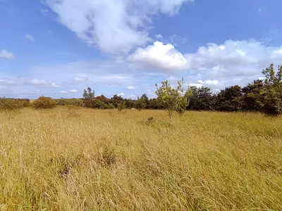 Maison, 50 m²