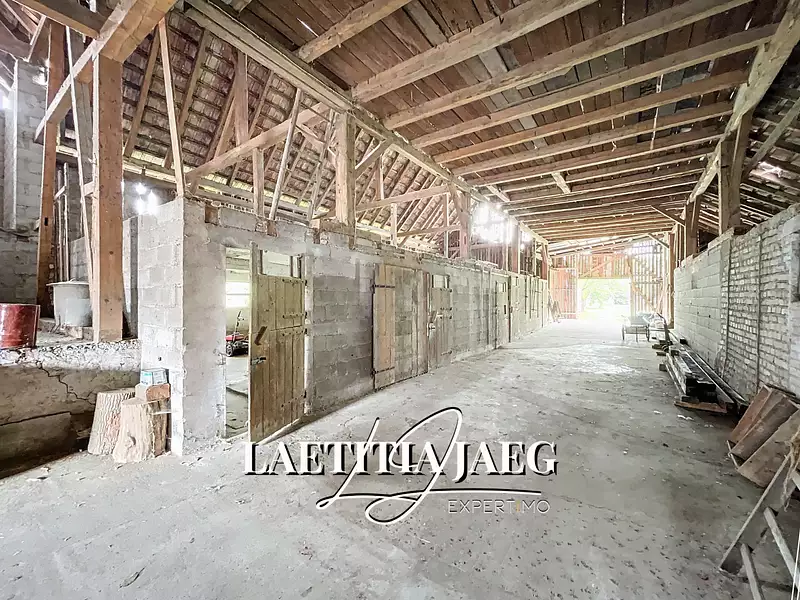 Maison, 650 m²