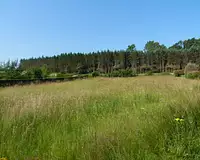 Terrain, 1 400 m²