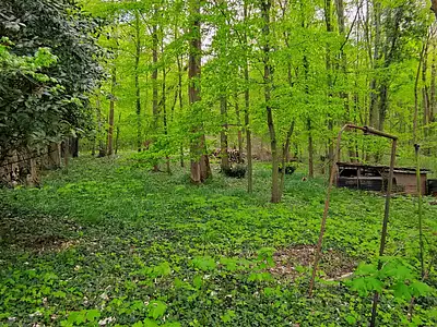 Terrain, 6 521 m²