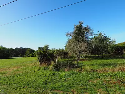 Terrain, 1 250 m²