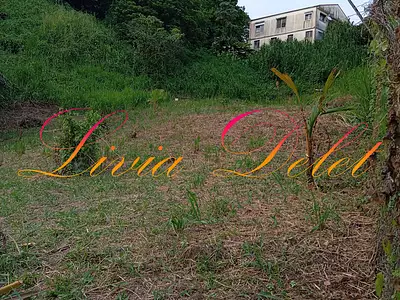 Terrain, 900 m²