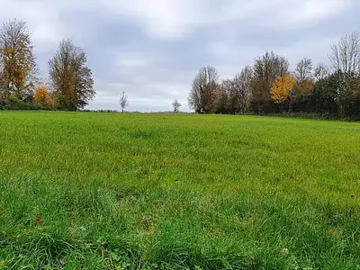Terrain, 4 577 m²