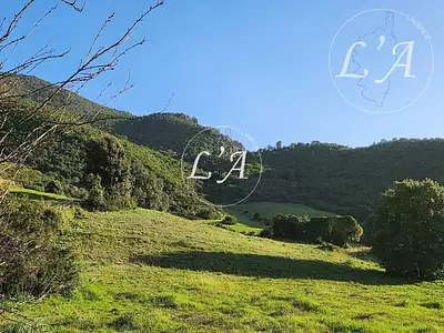 Terrain, 1 500 m²