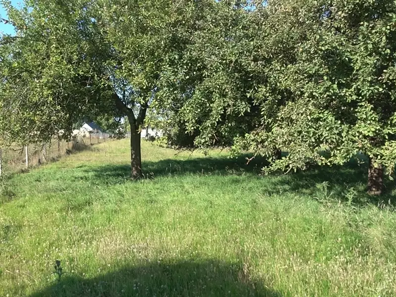 Terrain, 678 m²