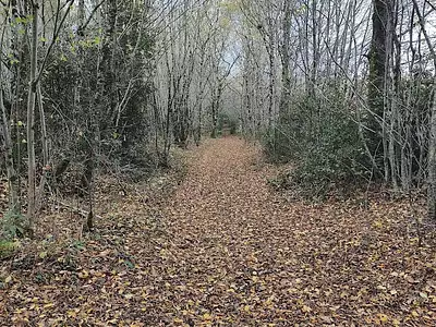 Terrain, 405 918 m²