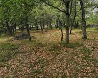 Terrain, 720 m²