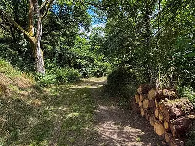 Maison, 96 m²