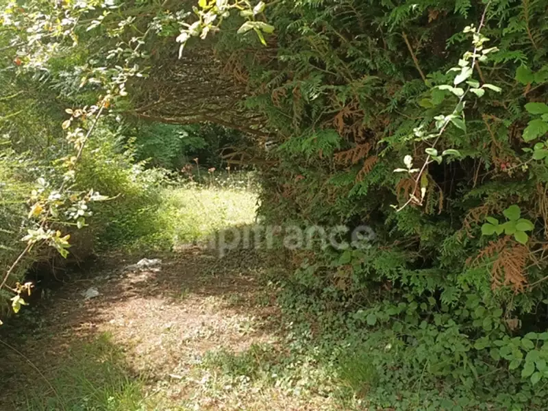 Terrain, 836 m²