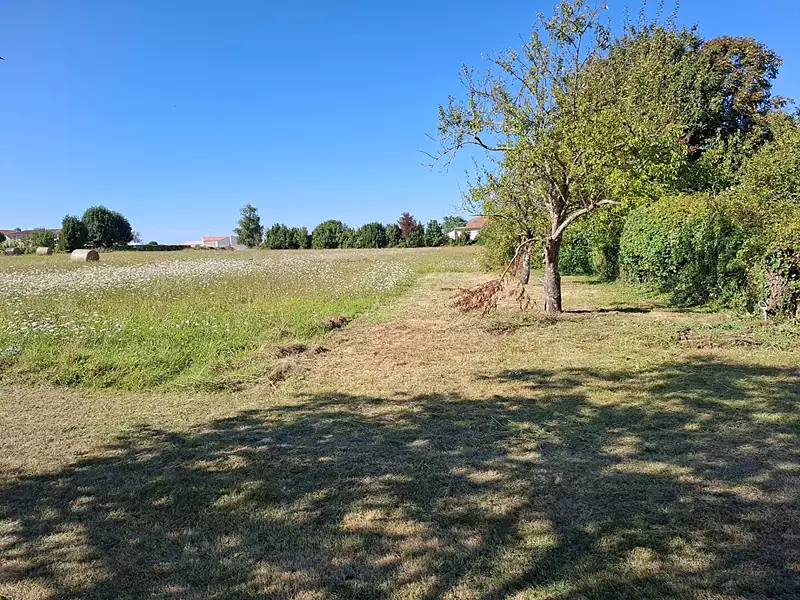 Terrain, 3 140 m²