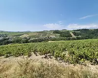 Terrain, 51 850 m²