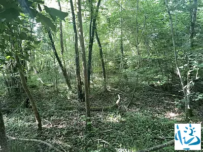 Terrain, 3 550 m²