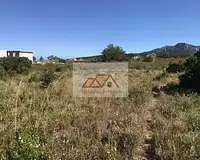 Terrain, 5 000 m²
