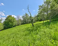 Terrain, 15 m²