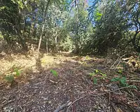 Terrain, 950 m²