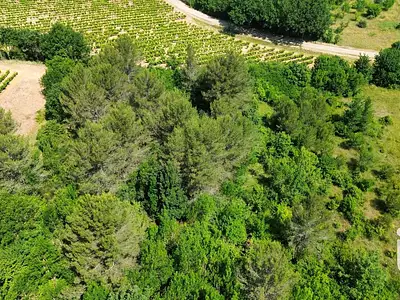 Terrain, 12 527 m²