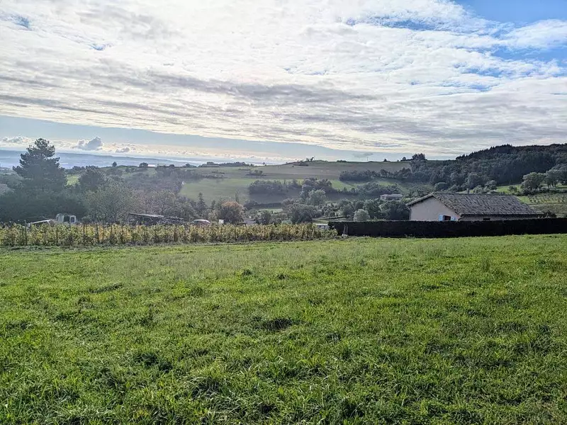 Terrain, 979 m²