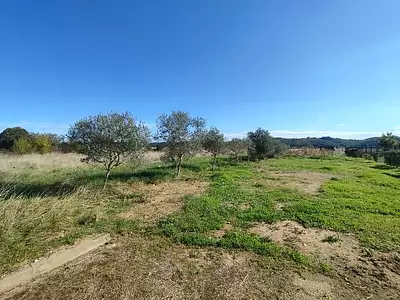 Terrain, 22 314 m²