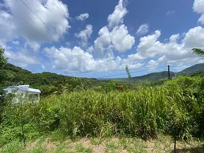 Terrain, 988 m²