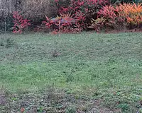 Terrain, 700 m²