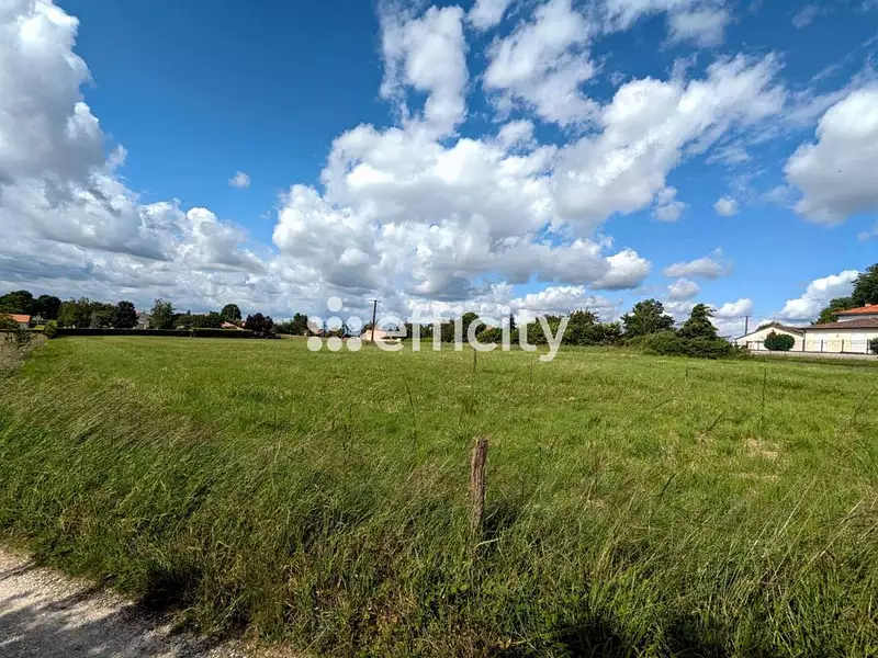 Terrain, 24 996 m²